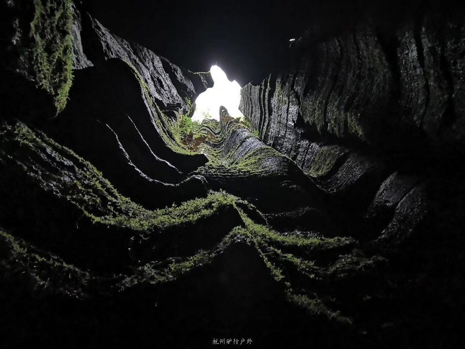 微信图片_2019080713222212