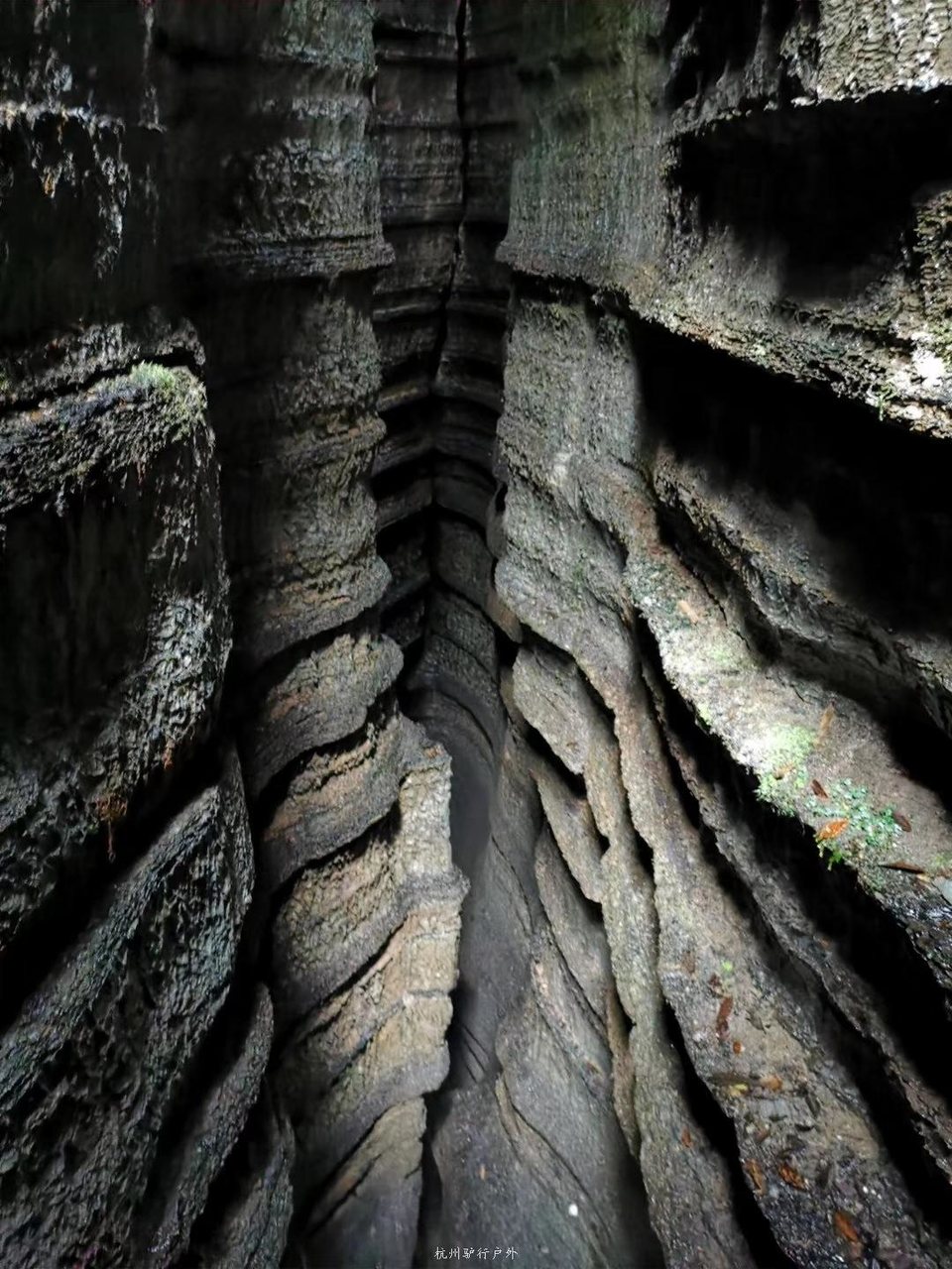 微信图片_2019080713222213