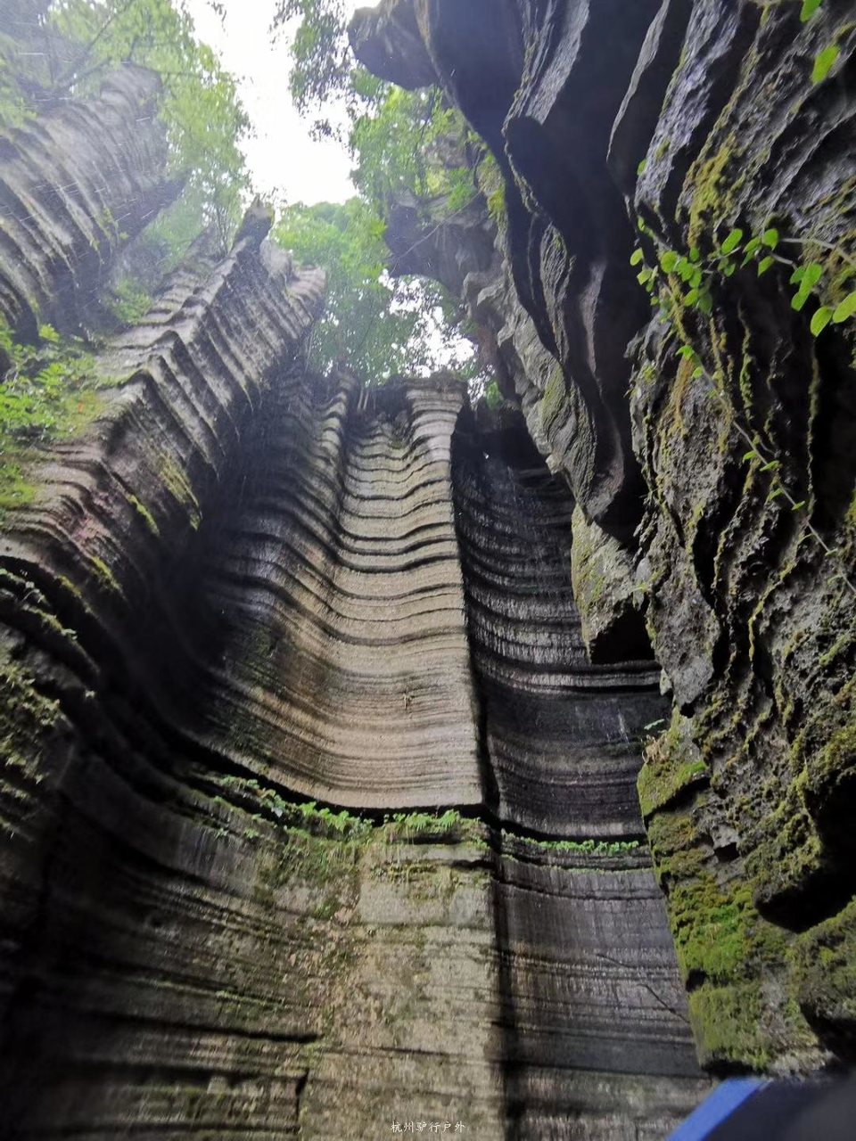 微信图片_2019080713222215