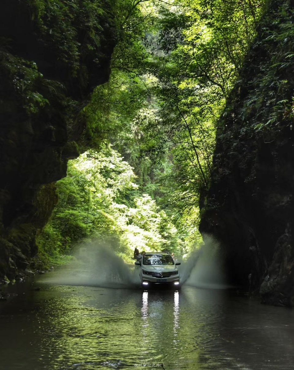 微信图片_2019080713222216