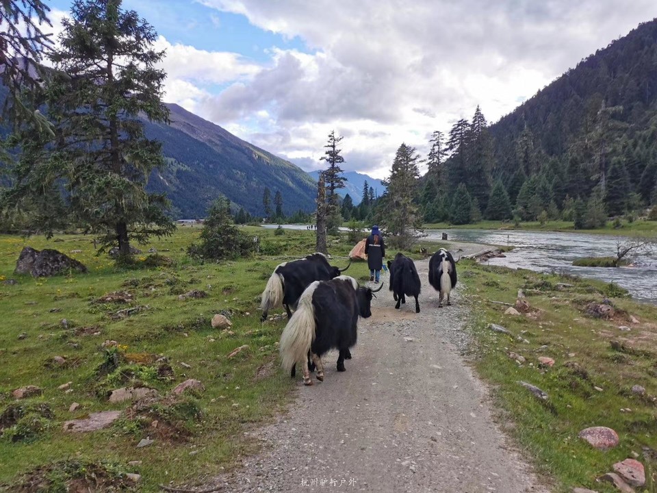 微信图片_201910172140011