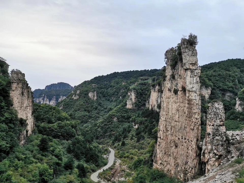 微信图片_201910172244174