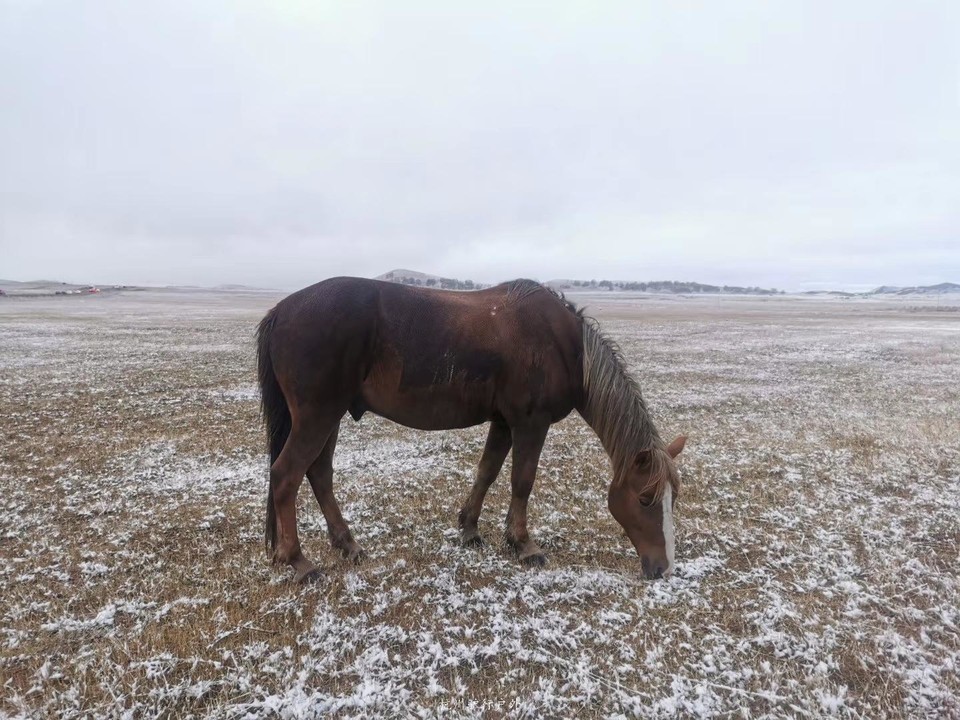 微信图片_201910172243182