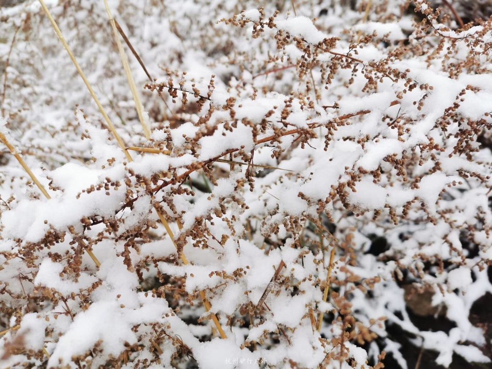 微信图片_201910172243187