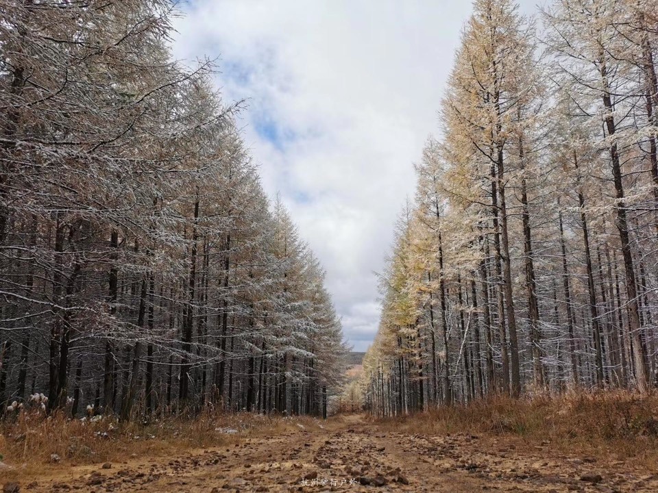 微信图片_2019101722431810