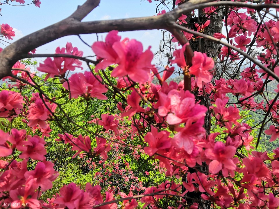 mmexport1586693606133