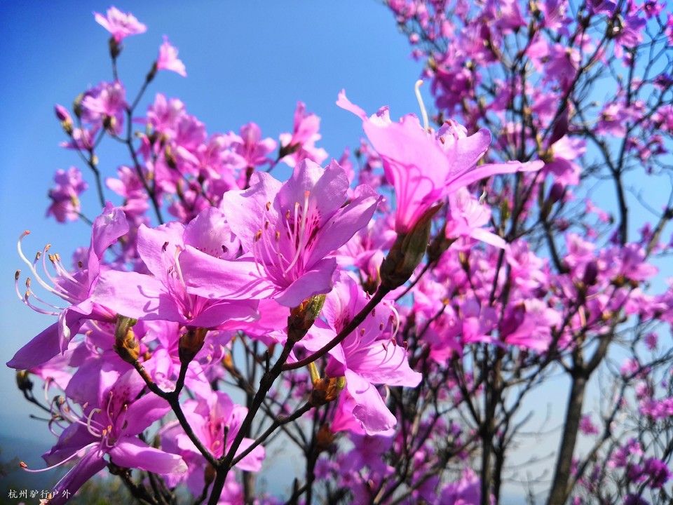 mmexport1586693622849