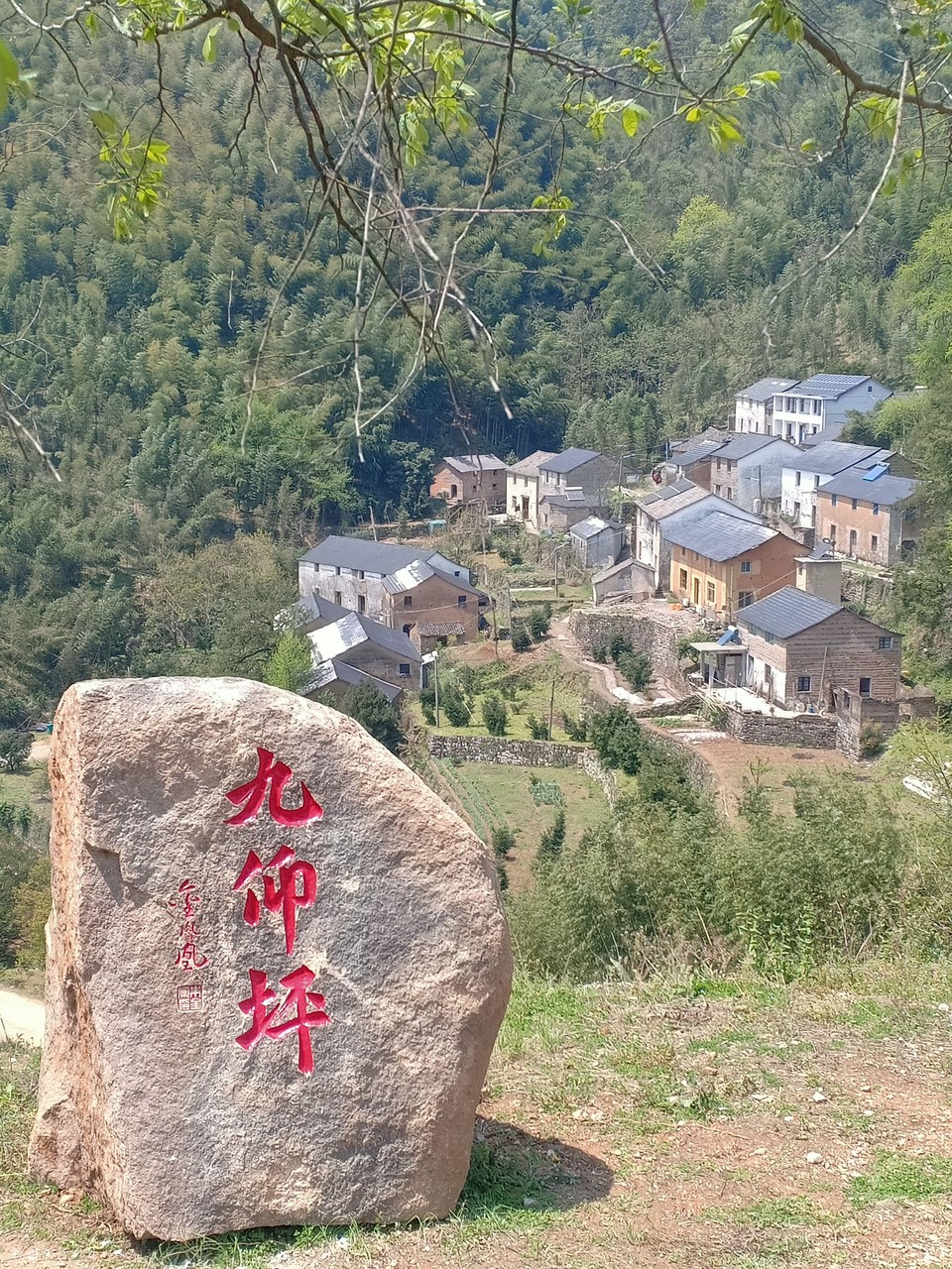 mmexport1586737325245