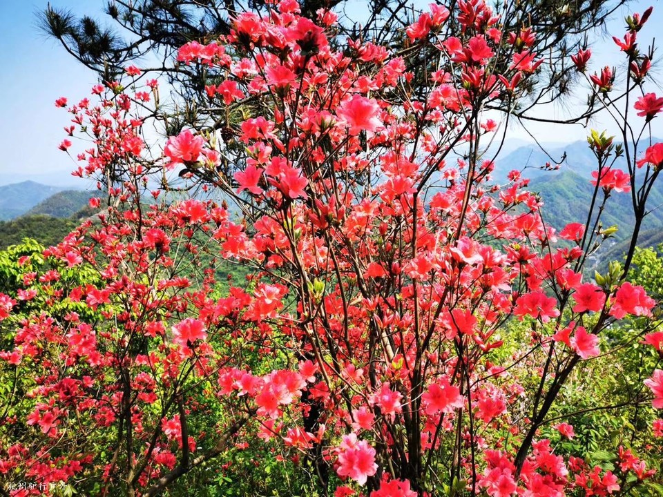 微信图片_202006102030173