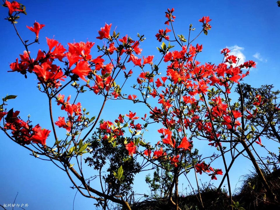 微信图片_202006102030174