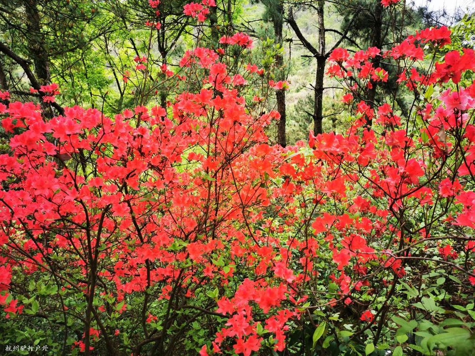 微信图片_202006102036271