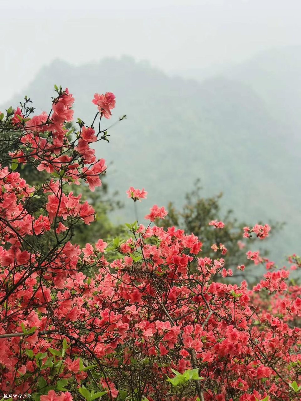 微信图片_202006102036272