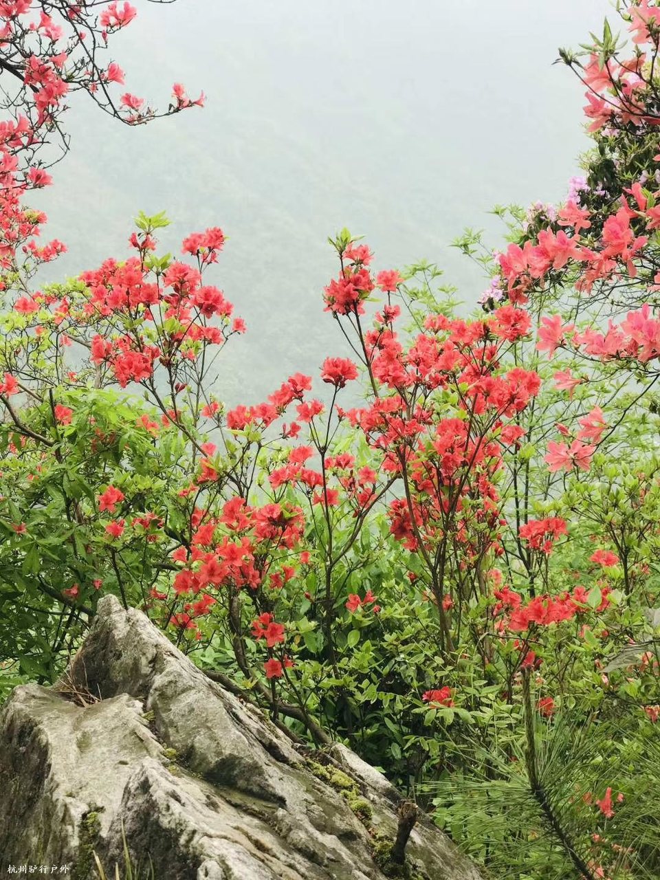 微信图片_202006102036274