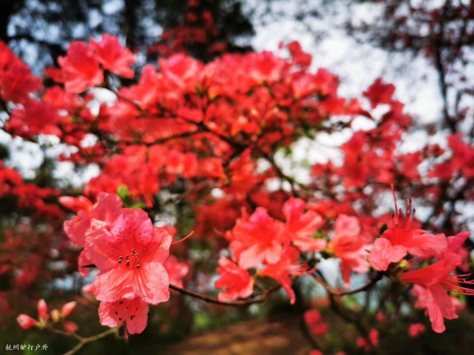 微信图片_202006102036275