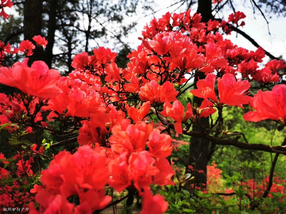 微信图片_202006102036276