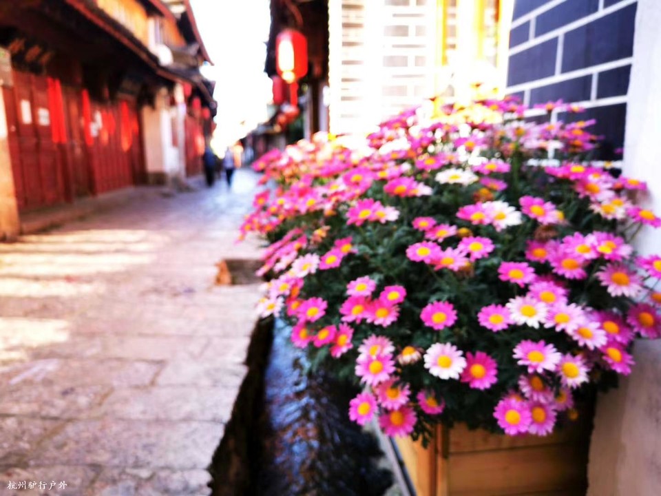 微信图片_202006102045563