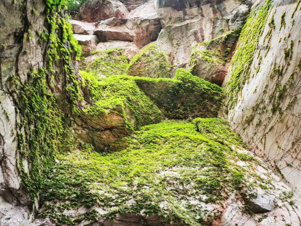 微信图片_202006102054042