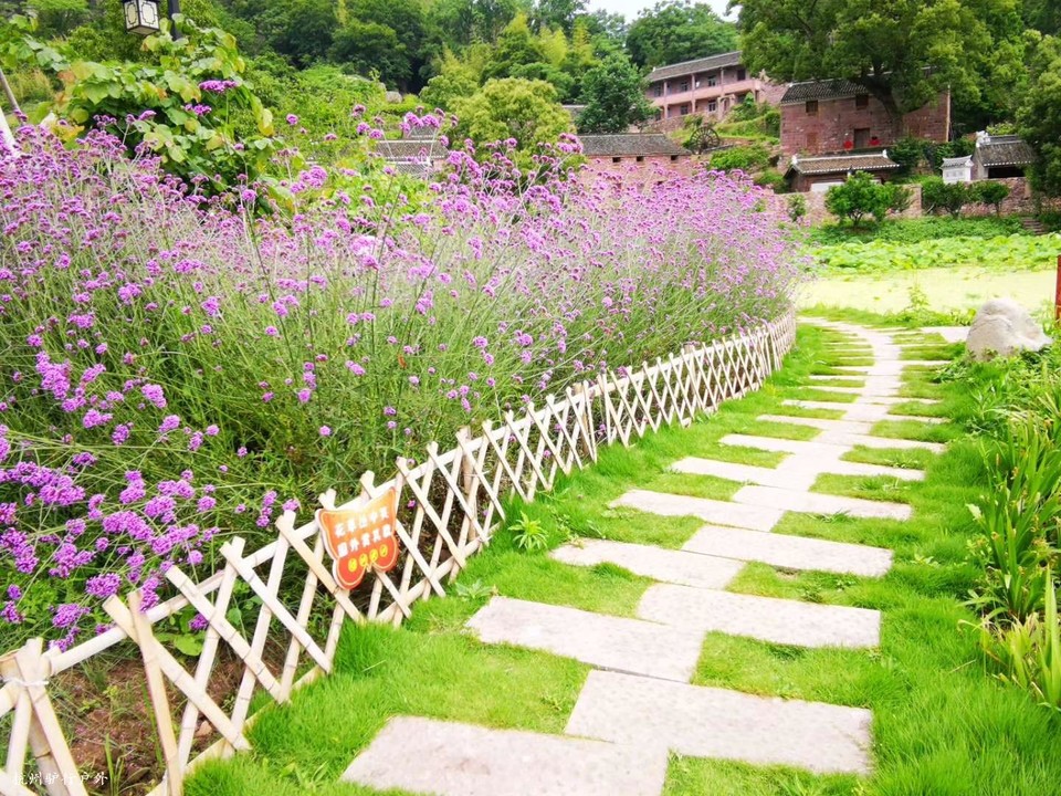 微信图片_202006102054045