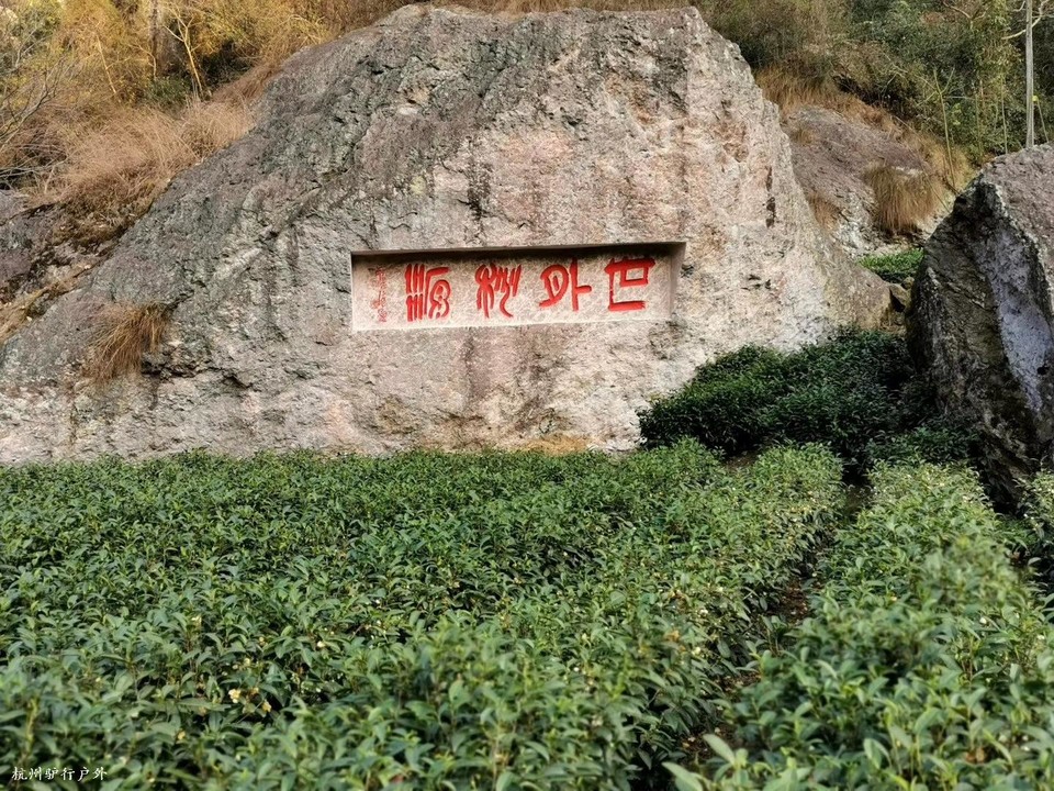 微信图片_202006102057213