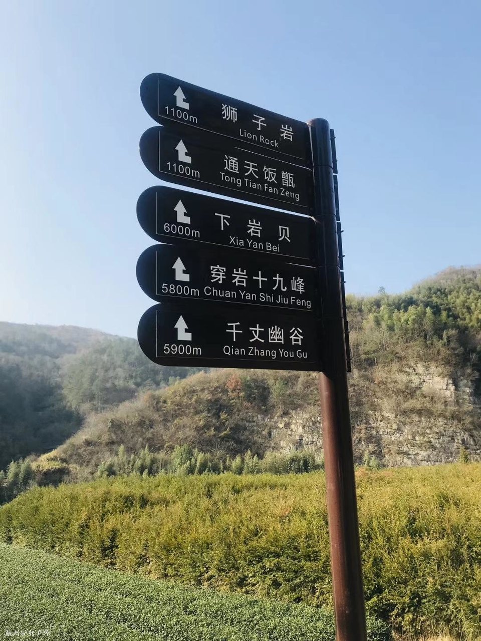 微信图片_202006102057216