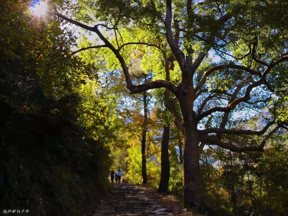 微信图片_202006102100061