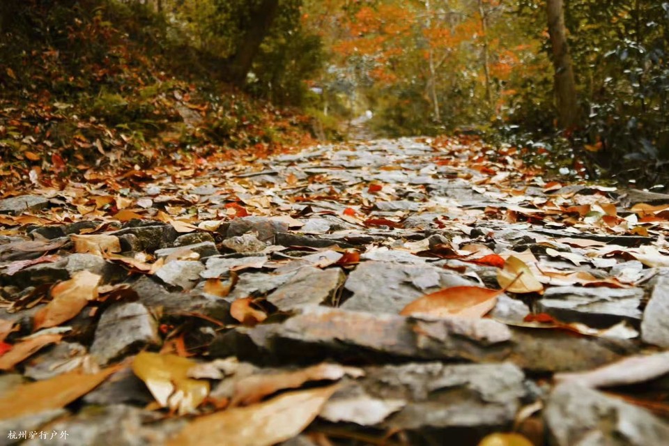 微信图片_202006102100062