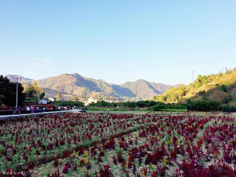 微信图片_202006102100063