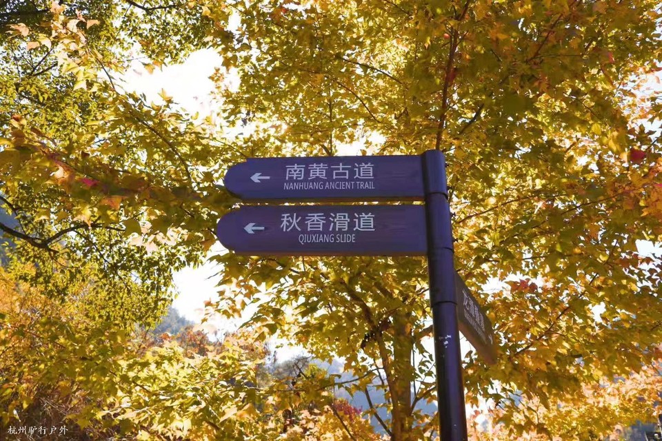 微信图片_202006102100064