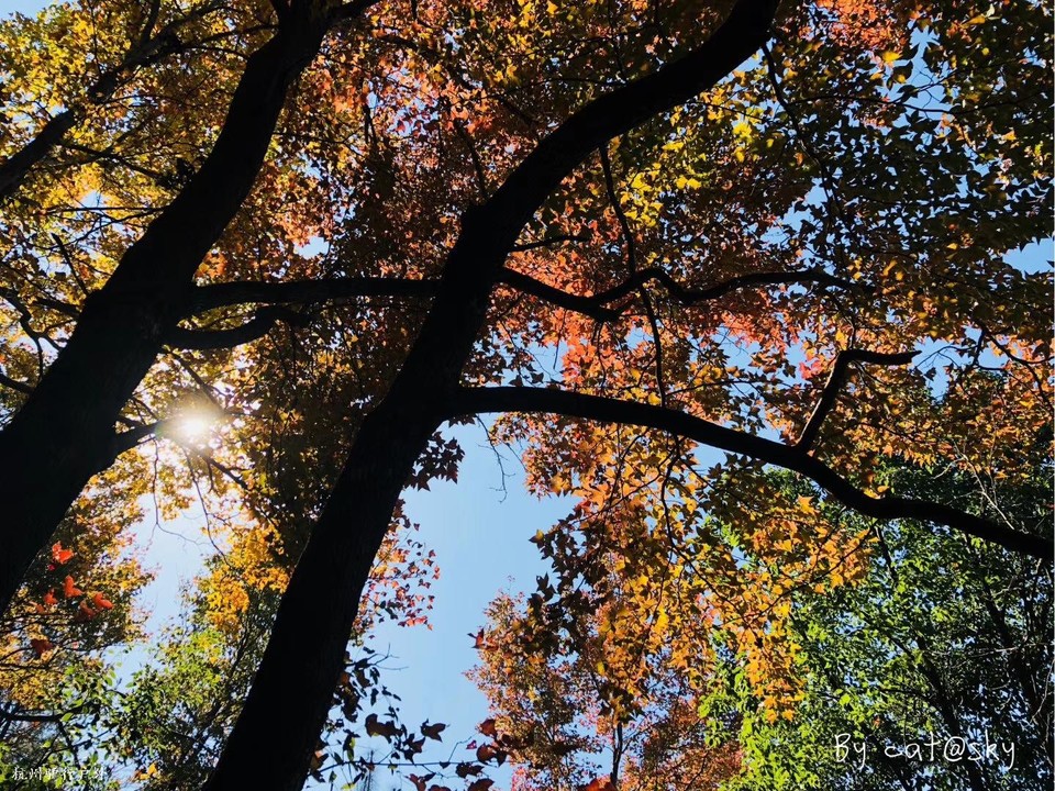 微信图片_202006102100065