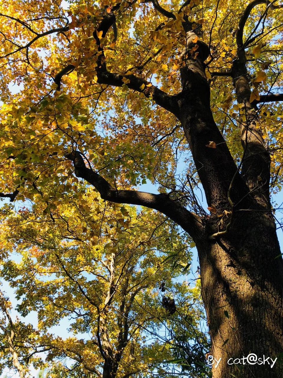 微信图片_202006102100066