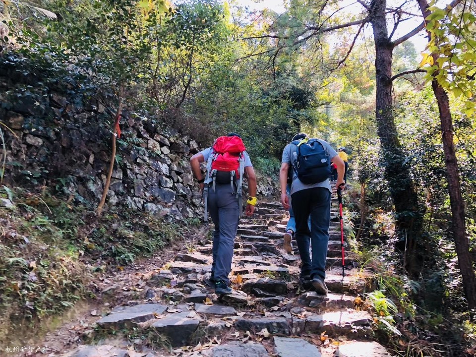 微信图片_202006102100067