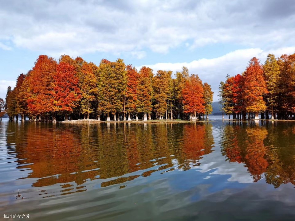 微信图片_202006102103141