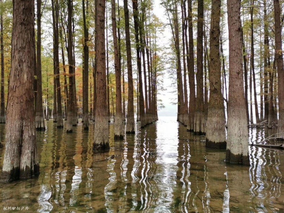 微信图片_202006102103143