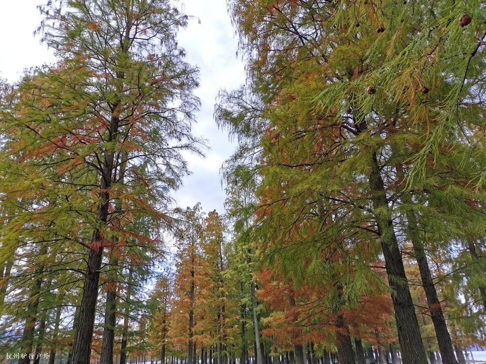 微信图片_202006102103145