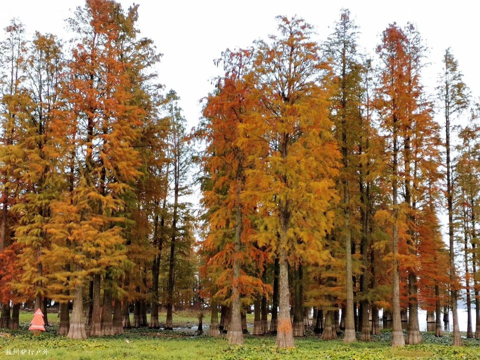 微信图片_202006102103146