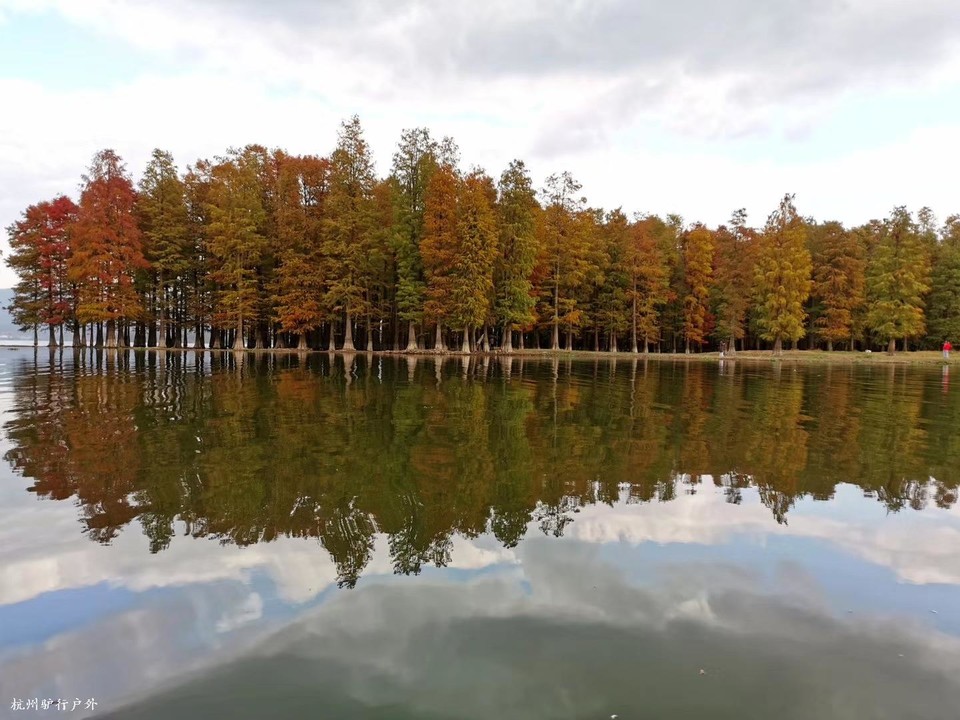 微信图片_202006102103147