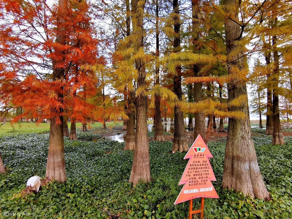 微信图片_202006102103148