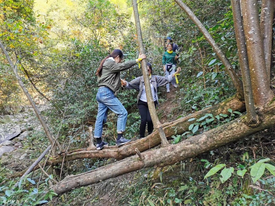 微信图片_202006102107091