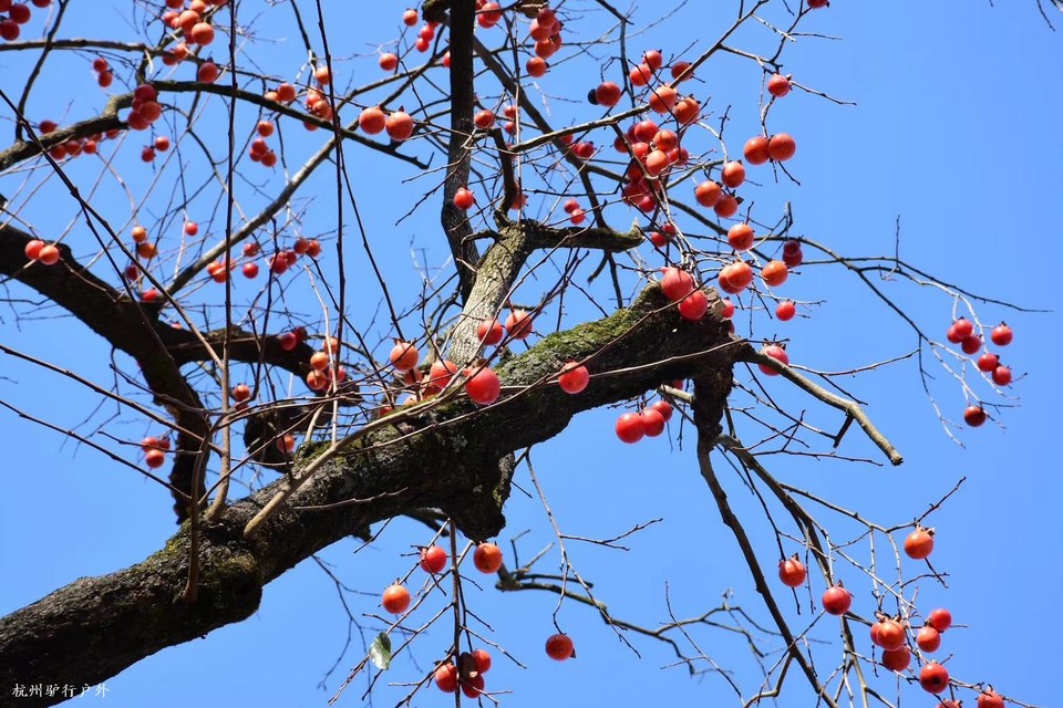 微信图片_202006102107094