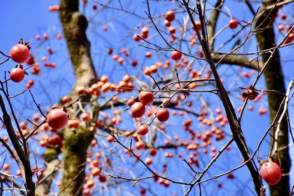 微信图片_202006102107095