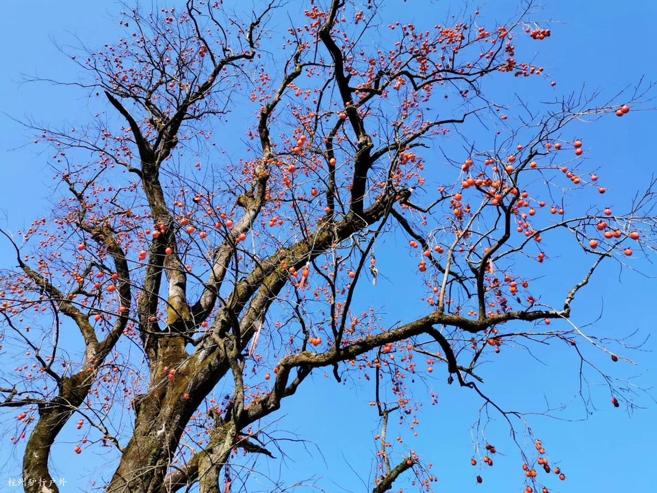 微信图片_202006102107096