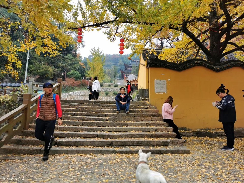 微信图片_20200610210958