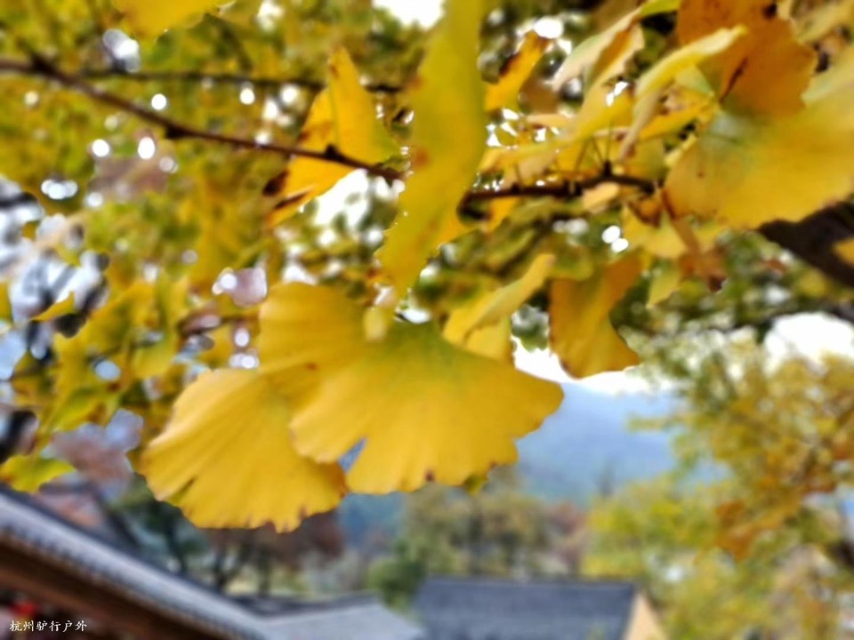 微信图片_202006102109581