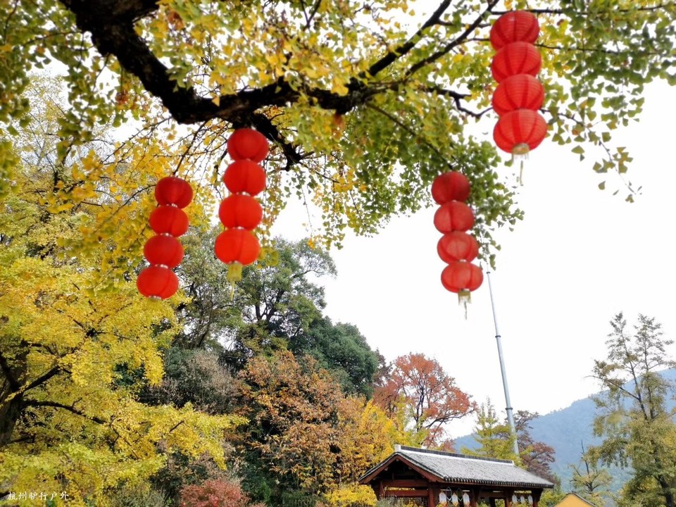 微信图片_202006102109582