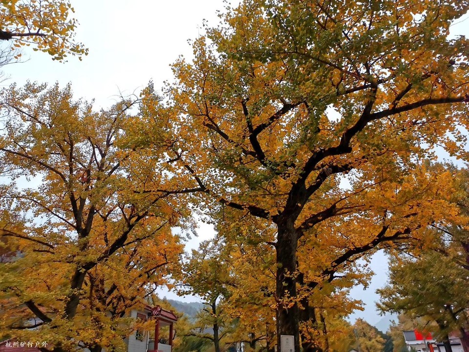 微信图片_202006102109583