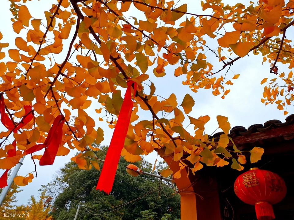 微信图片_202006102109584