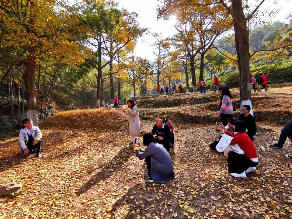 微信图片_202006102109586