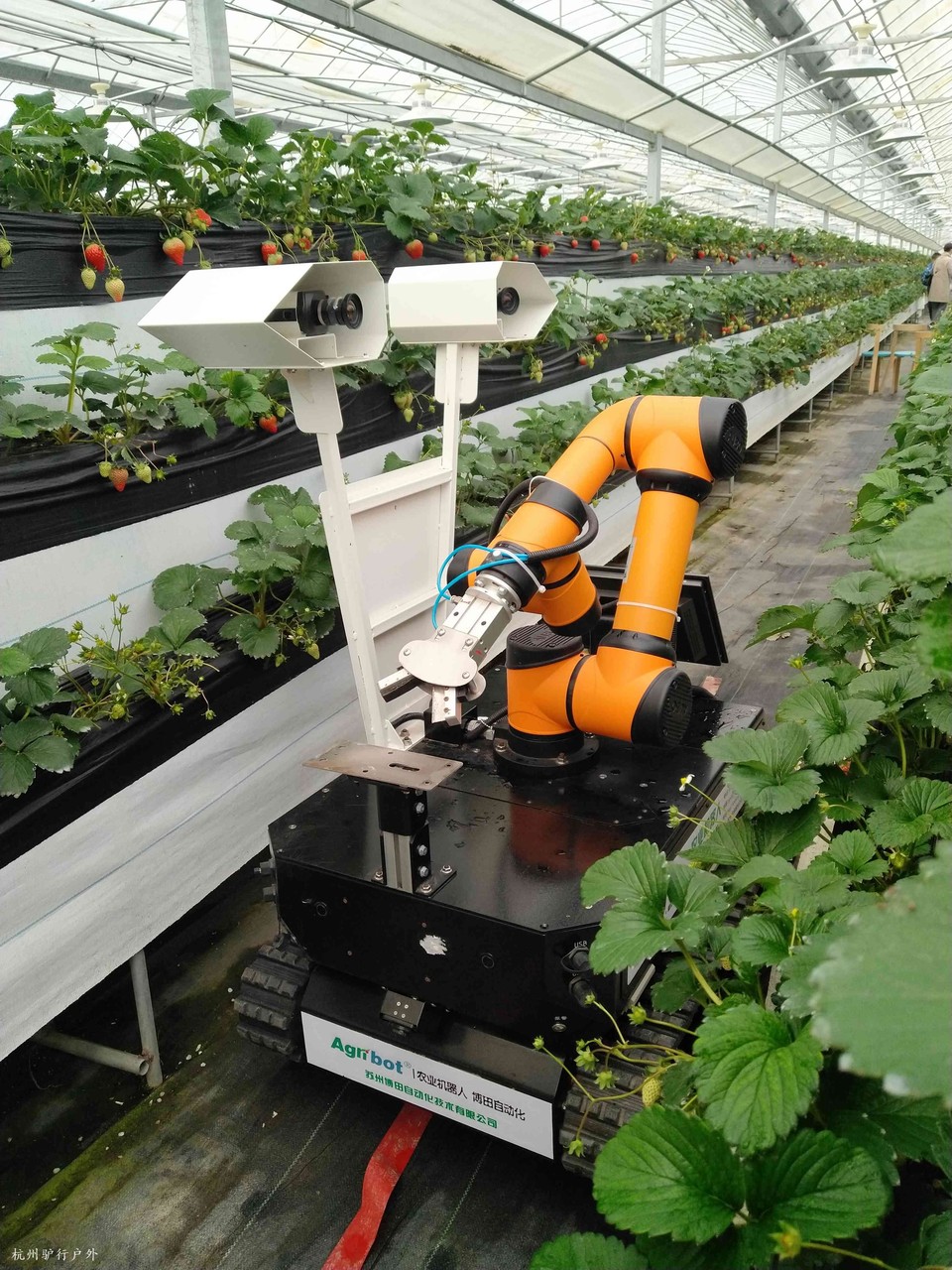 mmexport1577902418488