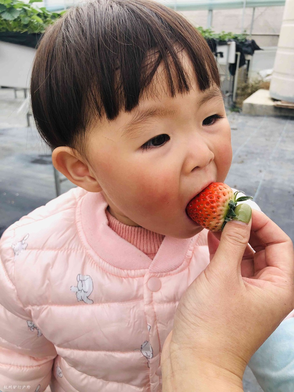 mmexport1577902425805