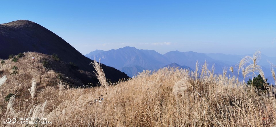 mmexport1572863290632